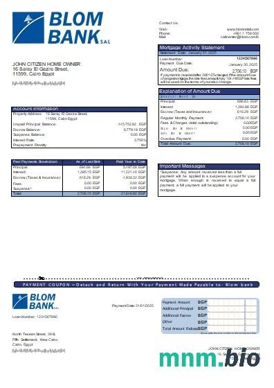 Egipt Bank Blom of Egypt wyciąg z kredytu hipotecznego szablon Word i PDF